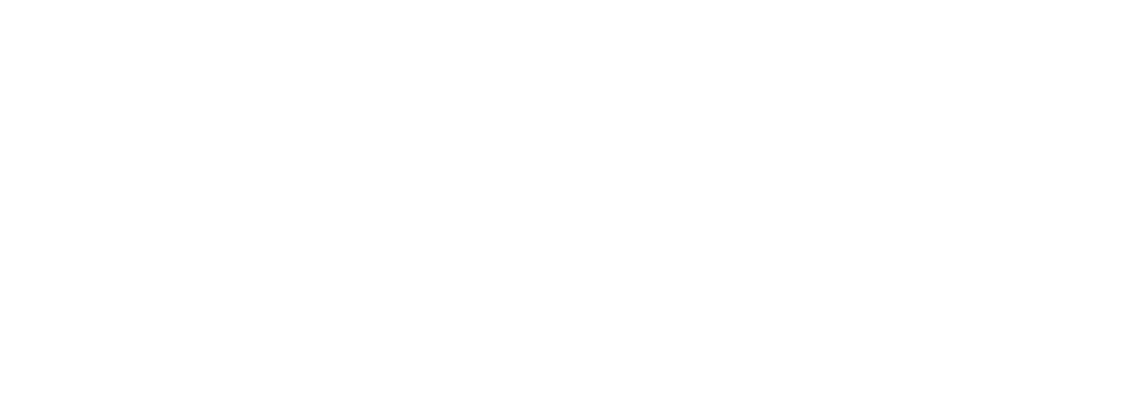 Logo Parceira Ton